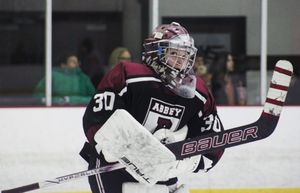 Image post by @bosak_goaltending on Instagram