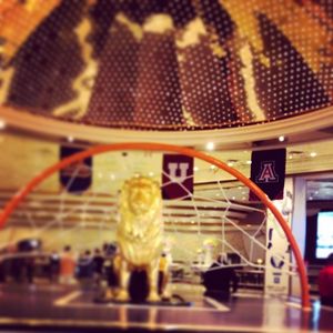 Image post by @zonazooofficial on Instagram