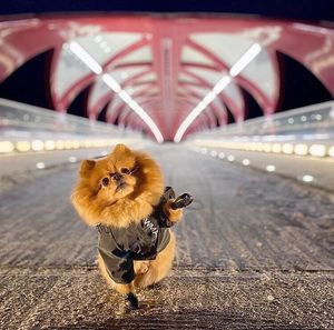 Image post by @cityofcalgary on Instagram