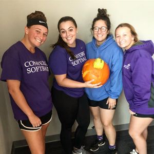 Image post by @valkyriessoftball on Instagram