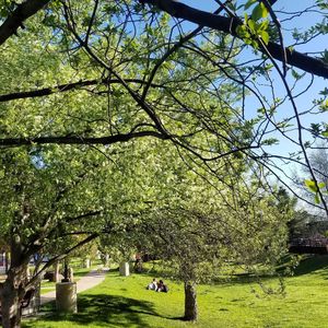 Image post by @nauflagstaff on Instagram