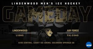 Image post by @luhockey_ncaa on Instagram