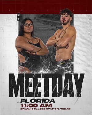 Image post by @aggieswimdive on Instagram