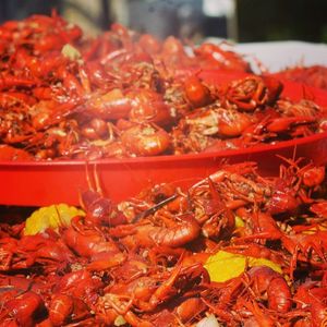 Image post by @lafishfry on Instagram