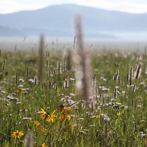 Image post by @nationalparktrust on Instagram