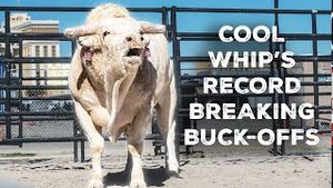 Video post by @pbr on YouTube