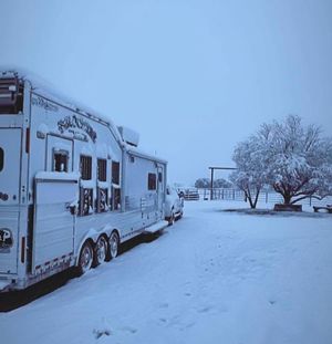 Image post by @bloomertrailers on Instagram