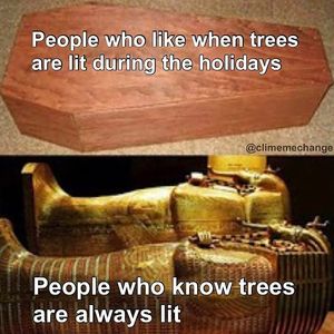 Image post by @teamtrees on Instagram