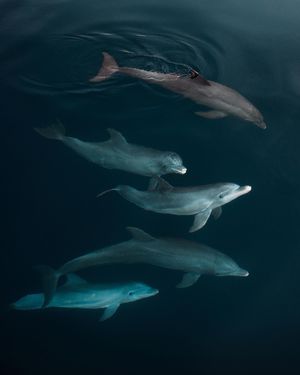 Image post by @natgeo on Instagram