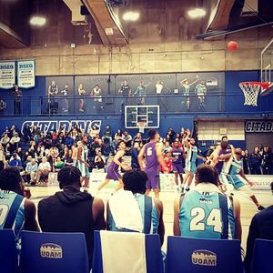Image post by @mtl_unscripted on Instagram