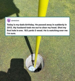 Image post by @savepargolf on Instagram