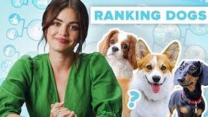 Video post by @buzzfeedvideo on YouTube