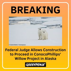 Image post by @greenpeaceusa on Instagram