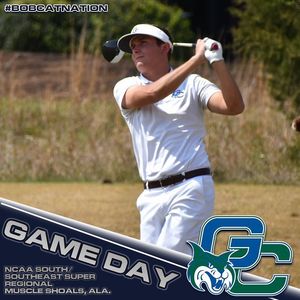 Image post by @gcsubobcats on Instagram