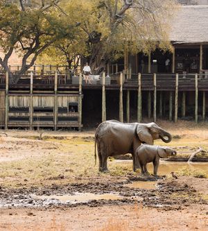 Image post by @chiawasafaris on Instagram