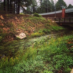 Image post by @nauflagstaff on Instagram