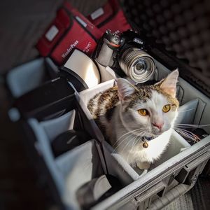 Image post by @fotodioxpro on Instagram