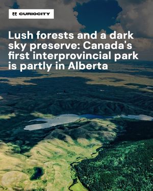 Image post by @curiocitycalgary on Instagram