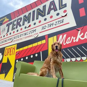 Image post by @sdterminal on Instagram