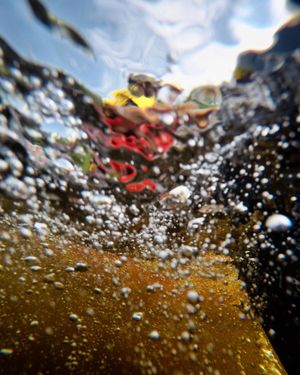 Image post by @nicktroutmankayak on Instagram