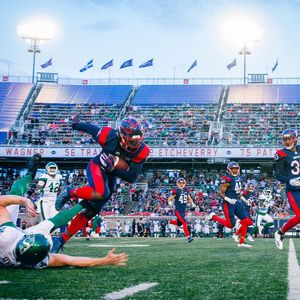 Image post by @mtlalouettes on Instagram