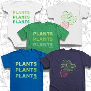 Image post by @kidsgardening on Instagram