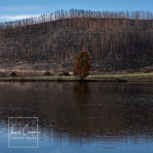 Image post by @lightboximages on Instagram