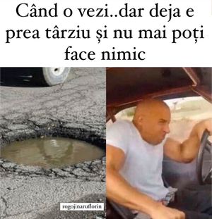 Image post by @rogojinaruflorin on Instagram