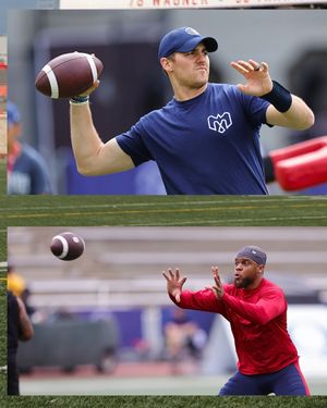 Image post by @mtlalouettes on Instagram