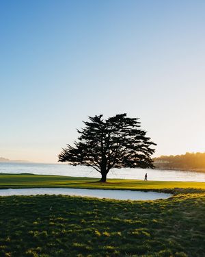 Image post by @pebblebeachresorts on Instagram