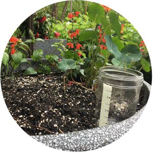Image post by @kidsgardening on Instagram