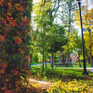 Image post by @nauflagstaff on Instagram