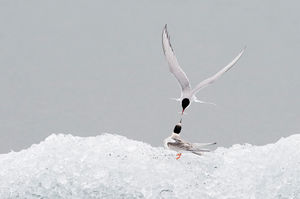Image post by @natgeo on Instagram