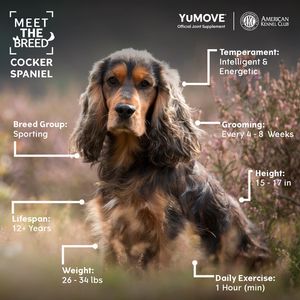 Image post by @yumove_usa on Instagram