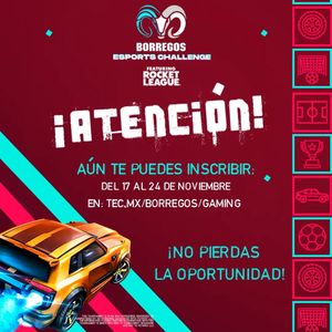 Image post by @borregosgaming on Instagram
