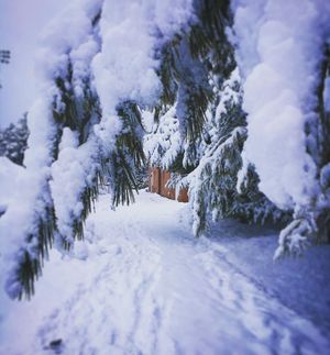 Image post by @endicott_ap on Instagram
