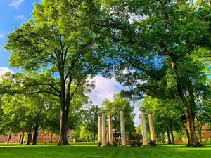 Image post by @presbyteriancollege on Instagram