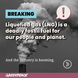 Image post by @greenpeace on Instagram