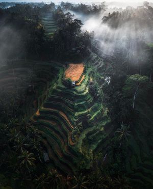 Image post by @dronepals on Instagram