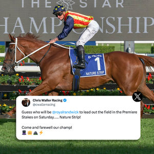 Image post by @australianturfclub on Instagram