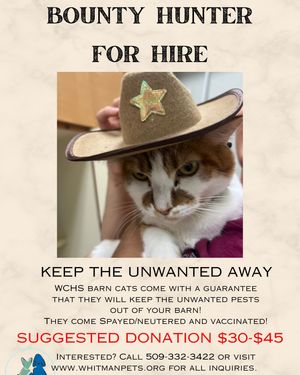 Image post by @whitmanpets on Instagram