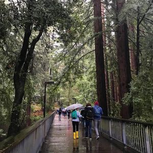 Image post by @ucsc on Instagram