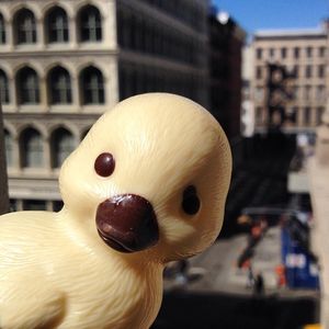 Image post by @lepainquotidienus on Instagram