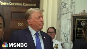 Video post by @msnbc on YouTube