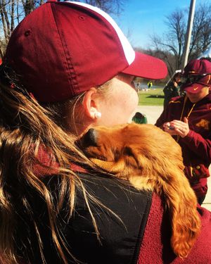 Image post by @gopher_rowing on Instagram