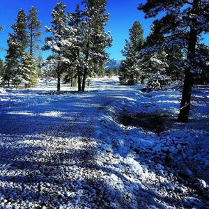 Image post by @nauflagstaff on Instagram