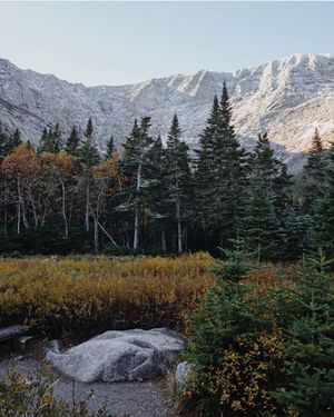 Image post by @themainemag on Instagram