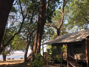 Image post by @chiawasafaris on Instagram