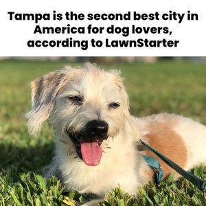 Image post by @thatssotampa on Instagram
