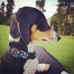 Image post by @hollysmee on Instagram